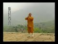 Gran Maestro Shi de Yang