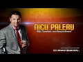 NICU PALERU - Sunt smecher de capitala, Manele de Colectie
