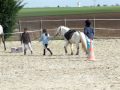 miniature