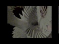 2 - Giant 3D Origami Swan- Russian Style