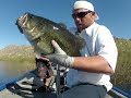 10 14 lb swimbait fish