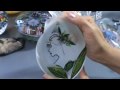 Introduction to The Zen of Flameworking, Part One of Five Videos