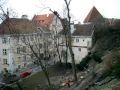 TIMELAP Ash tree removal in Tallinn, Corner of Lai and Nunne Part 2