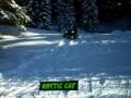 ARCTIC CAT ATV TRACKS