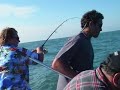 Lake Erie Walleye Fishing