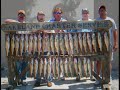 Lake Erie Walleye Fishing