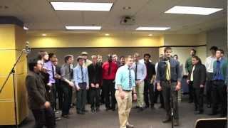 The Y Chromotones – Medley Espetecular