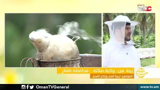 ربط مباشر من ولاية صلالة بمحافظة ظفار  تربية النحل وإنتاج العسل