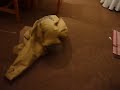 Danko, el Schnauzer Miniatura / Danko, the mini-Schnauzer: Ep.1: Danko el Fantasma / Danko the Ghost