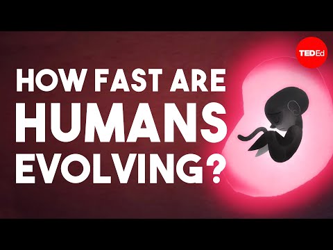 TED-Ed. Is human evolution speeding up or slowing down? (Žmogaus evoliucija: spartėja ar lėtėja?)