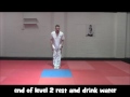 Taekwondo workout
