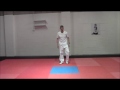 Taekwondo workout