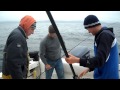 King (Chinook) Salmon Fishing In British Columbia