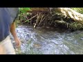 Washington salmon fishing recon