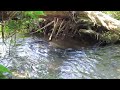 Washington salmon fishing recon