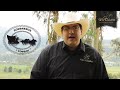 Criadero La Virginia - Muestra de Ejemplares. (HD) www.delcaballista.com