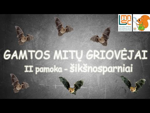 LMNŠC pamokų ciklas „Gamtos mitų griovėjai“. Šikšnosparniai