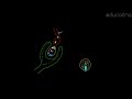 Fisiología de la fecundación - Botánica - Educatina