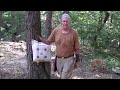 Archery ( Woods Walk) Hummingbird Hybrid Longbow