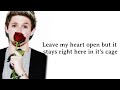 One Direction - Story of My Life (Lyrics + Pictures)