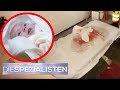 Wettlauf gegen die Zeit Wo ist das Baby  Teil 22  Birgit Maas  Die Spezialisten  SAT.1 TV