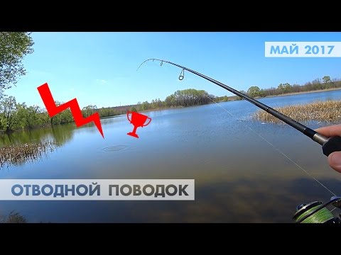 ловля сома на отводно ловля сома на отводно