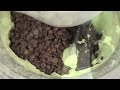 Mint & Chocolate Chip Ice Cream - 200th RECIPE