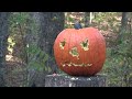 Pumpkin Carving III