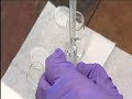 Ultraviolet/Visible Spectroscopy (UV-Vis)