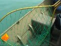 King Salmon Fishing Skilak Lake Alaska
