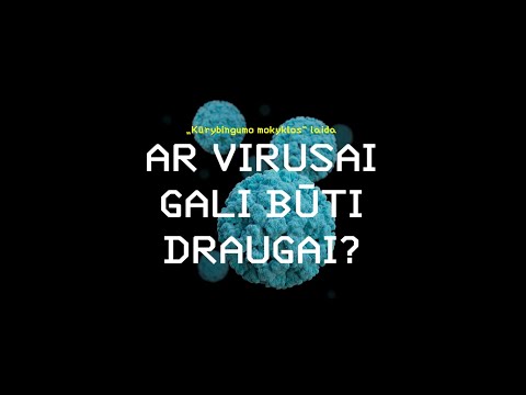 Kūrybingumo mokykla. Ar virusai gali būti draugai?