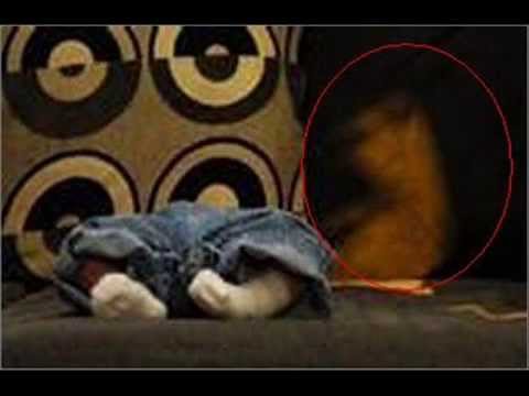 images of ghosts caught on camera. The best ghosts caught on