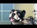 Vazquez Sounds Parody - Rolling In The Poop - Rolling In The Deep Adele cover by Latex Sounds