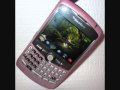 blackberry curve pink 8320