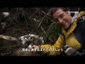 「サバイバルゲーム MAN VS. WILD」究極サバイバル術を紹介する特別映像!