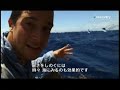 「サバイバルゲーム MAN VS. WILD」究極サバイバル術を紹介する特別映像!