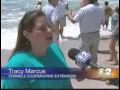 20 Foot Shark Washes Ashore at Long Island, New York