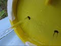 Build a laminar flow nozzle for $15