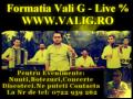 FORMATIA VALI G - INSTRUMENTAL MANEA MUZICA DE PETRECERE