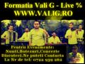 FORMATIA VALI G - INSTRUMENTAL MANEA MUZICA DE PETRECERE