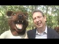 Tallahassee Museum unveils new panthers