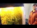 Grow Room | Stealth Hydroponic Grow Systems