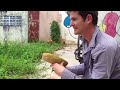 What a fruitarian in Thailand eats in one day