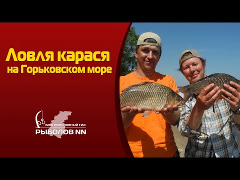 когда можно ловить рыбу на ветлуге когда можно ловить рыбу на ветлуге
