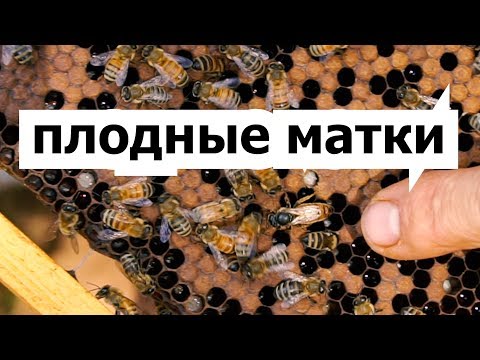 Ремонт турбинки - Металлический форум - Страница 3 Регистрации авиапассажиров в аэропорту Шереметьево