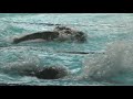 Jhonny Silva - 100 Borboleta Sul Brasileiro natação 2012