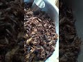 Cool Cambodian snacks