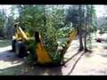 Ep. 3 - Transplanting Trees due to the Emerald Ash Borer