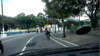 Dono leva cão na bicicleta