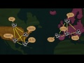 Making a TED-Ed Lesson: Visualizing complex ideas
